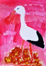 Kočková Simona.jpg